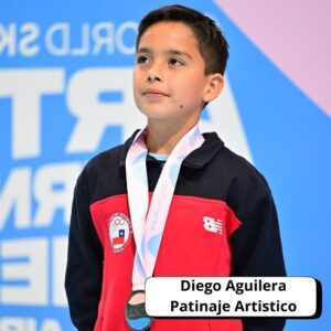 agregar un subtítulo (4)
